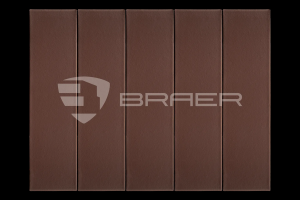 BRAER ������ ������� ���������� ������� 1 ��