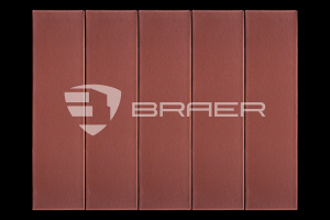 BRAER ������ ������� ����� ������� 1 ��